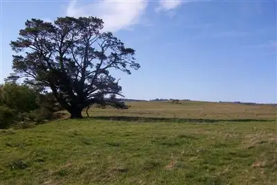 Main view of Homely land listing, Lot 1 Walsh Street, Taralga NSW 2580