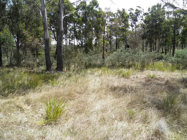 Fourth view of Homely land listing, 764 Uxbridge Road, Uxbridge TAS 7140