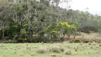 Third view of Homely rural property listing, . Bryants Lane, Deddington TAS 7212
