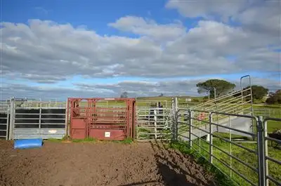 Third view of Homely rural property listing, 450 Perkindoo Road, Cooke Plains SA 5261