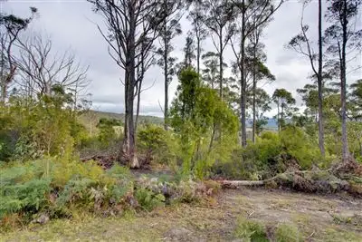 Sixth view of Homely house listing, 48 Kellys Road, Cradoc TAS 7109