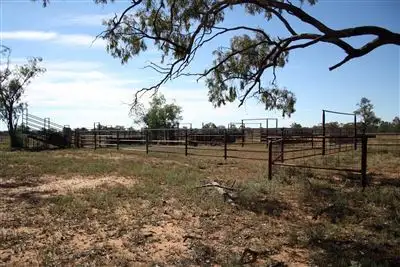 Fourth view of Homely rural property listing, 7856 Carinda Rd, Coonamble NSW 2829