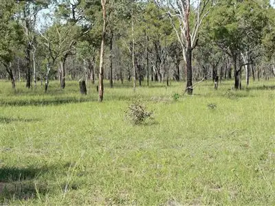 Third view of Homely rural property listing, . "Glen Olive", Injune QLD 4454