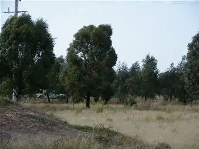 Fifth view of Homely rural property listing, Crn Engi & Fogarty's Roads, Raywood VIC 3570
