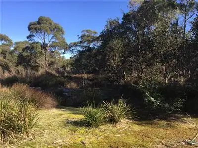 Sixth view of Homely rural property listing, 918 North Ansons Road, Gladstone TAS 7264