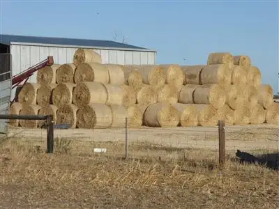 Fourth view of Homely rural property listing, . Martins Camp Road, Keith SA 5267