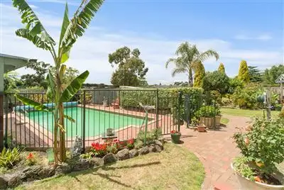 Main view of Homely house listing, 3 Sandown Court, Somerville VIC 3912