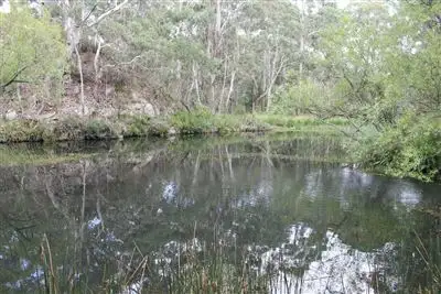 Main view of Homely rural property listing, Lot 16 Myrtle Grove Road, Mongarlowe via, Braidwood NSW 2622