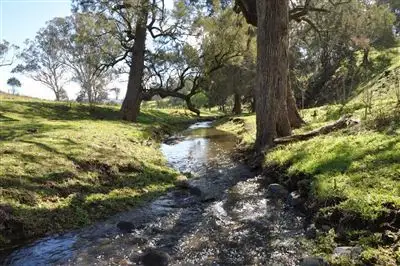 Main view of Homely rural property listing, 191 Stewarts Brook Rd, "Jarramarumba", Belltrees via, Scone NSW 2337