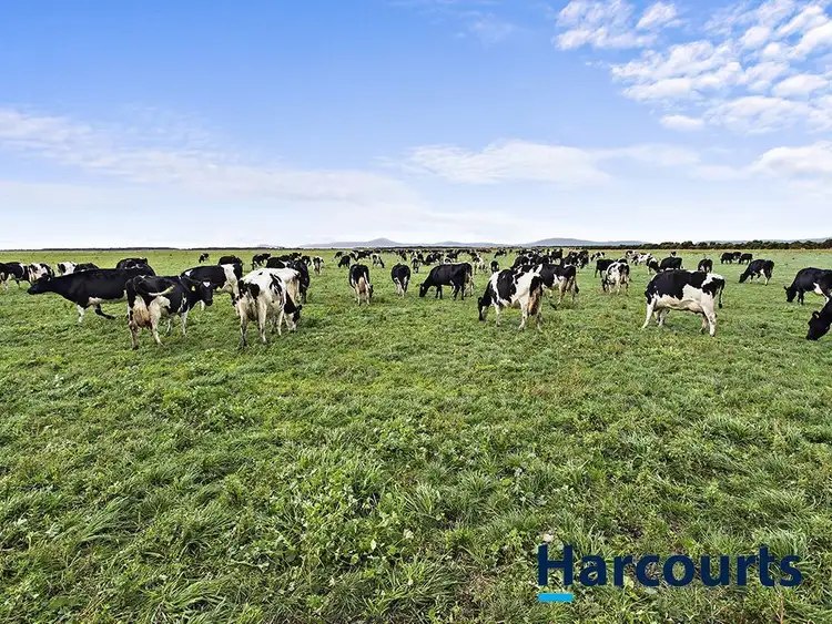 Second view of Homely rural property listing, 90 Foleys Road, Yanakie VIC 3960