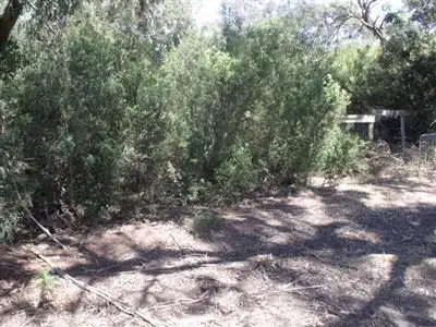 Fourth view of Homely rural property listing, 115 Langs Road, Robertsons Beach VIC 3971
