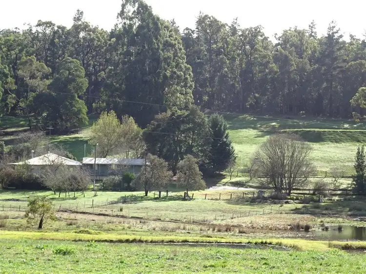 Third view of Homely rural property listing, 523 Balbarrup Road, Manjimup WA 6258