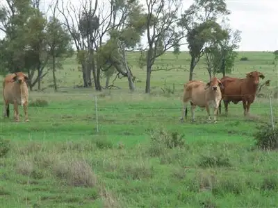 Sixth view of Homely rural property listing, Address available on request