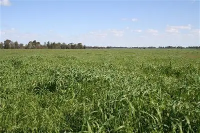 Second view of Homely rural property listing, 2067 Dubbo Burroway Rd, Dubbo NSW 2830