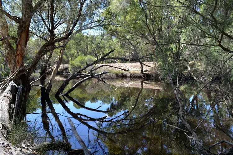 Sixth view of Homely rural property listing, 433 Hunter Road Orange Springs, Gingin WA 6503