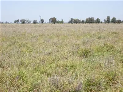 Main view of Homely rural property listing, . "Taroom Waterhole Paddocks", Taroom QLD 4420