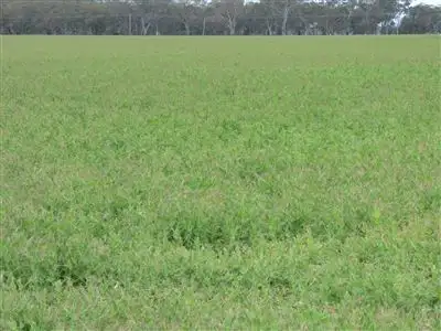 Fourth view of Homely rural property listing, . Ashens Cemetery Road, Wal Wal VIC 3381