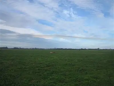 Fifth view of Homely rural property listing, 647 Riverview Road, Heyfield VIC 3858
