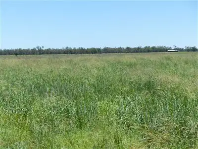 Fourth view of Homely rural property listing, . "Redmarley", Condamine QLD 4416