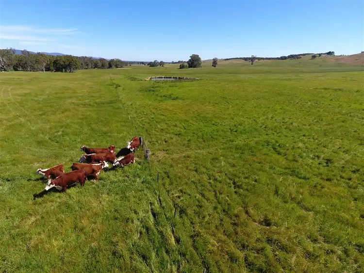 Second view of Homely rural property listing, . Greenhill Creek Road, Lexton VIC 3352