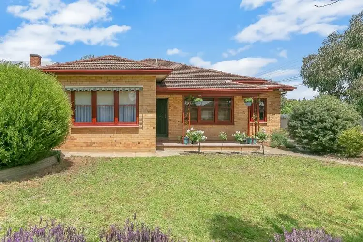 65 Morgan Avenue, Daw Park SA 5041