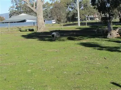 Sixth view of Homely land listing, 58-64 Brock Street, Euroa VIC 3666