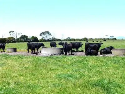Fifth view of Homely rural property listing, 515 Fuller Road, Foster VIC 3960