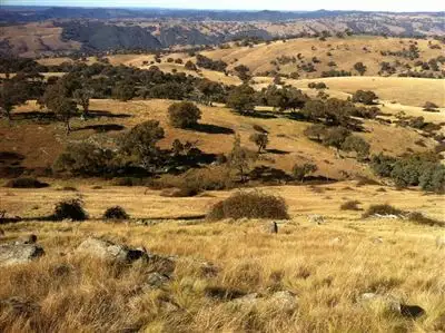 Seventh view of Homely rural property listing, Address available on request
