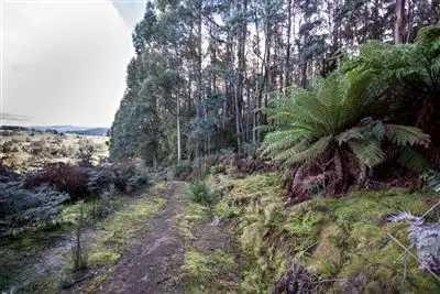 Fourth view of Homely land listing, Lot 5, 44 Lloyds Road, Franklin TAS 7113