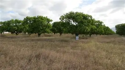 Second view of Homely rural property listing, 90 Bartlett Road, Horseshoe Lagoon QLD 4809