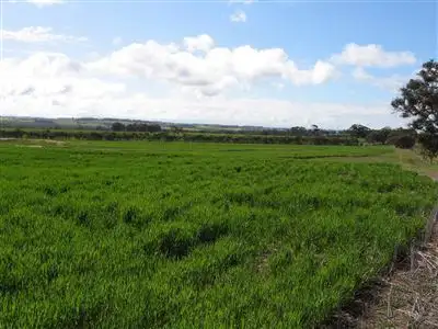 Seventh view of Homely rural property listing, Address available on request