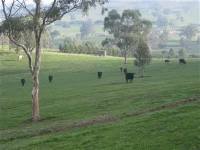 Second view of Homely rural property listing, Address available on request