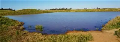 Fourth view of Homely rural property listing, . Morotai, Deniliquin NSW 2710