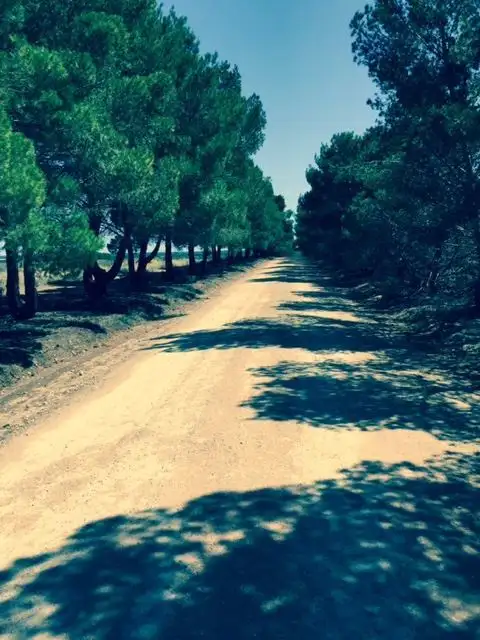 Seventh view of Homely land listing, Lot 6 Apold Road, Murbko SA 5320