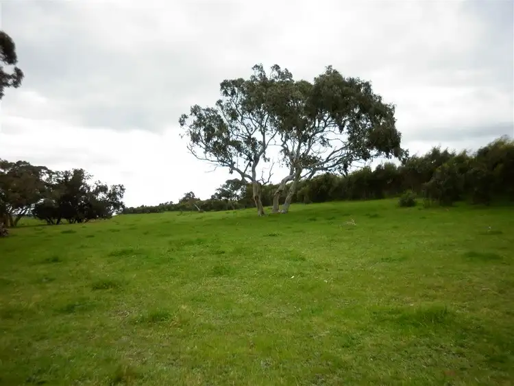 Third view of Homely rural property listing, Section 65 Mail Bridge Road, Kingston Se SA 5275