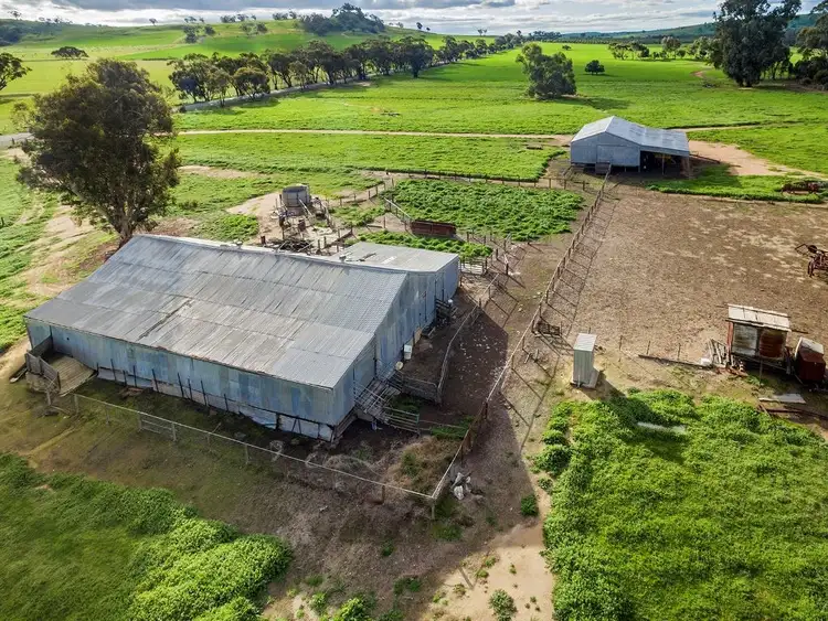 Sixth view of Homely rural property listing, 249 York-Williams Road, Beverley WA 6304