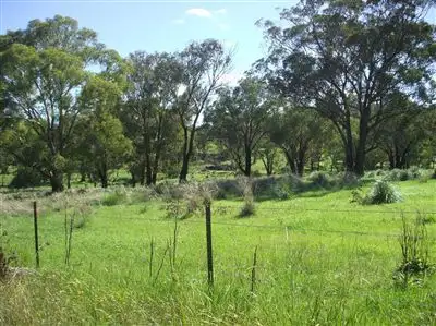 Pt Lot 645 Pinkerton Lane, Cootamundra NSW 2590