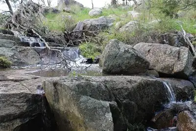 Seventh view of Homely rural property listing, Lot 5 Araluen Road, Braidwood NSW 2622