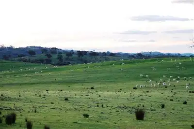 Fifth view of Homely rural property listing, Bob's/. Rugby Road, Dalton NSW 2581