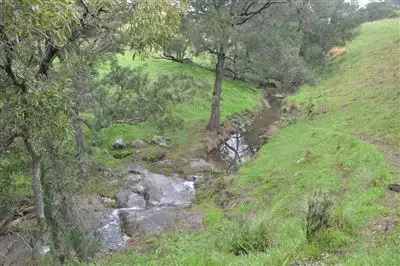 Seventh view of Homely rural property listing, 1662 Sandy Creek Rd, "Quince Tree", McCullys Gap via, Aberdeen NSW 2336