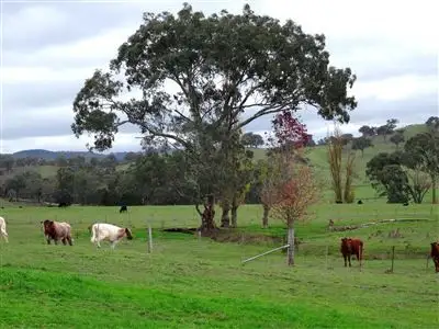 Main view of Homely rural property listing, 1274 Yarck Road, Yarck VIC 3719