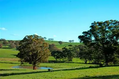 Fourth view of Homely rural property listing, 387 Bigga Road, Binda NSW 2583
