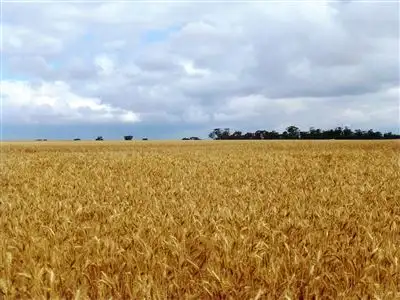 Main view of Homely rural property listing, Address available on request