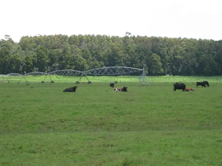 Third view of Homely rural property listing, 24610 Bass Highway, Brittons Swamp TAS 7330