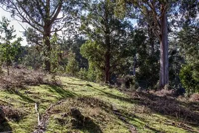 Sixth view of Homely house listing, 202 Castle Forbes Road, Castle Forbes Bay TAS 7116