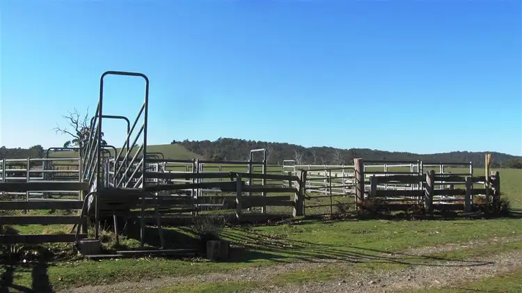 Fifth view of Homely rural property listing, 403 Greens Beach Road, Beaconsfield TAS 7270