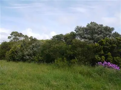 Third view of Homely land listing, 26 Albert Street, Currie TAS 7256