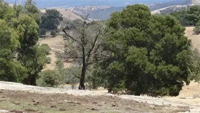 Fourth view of Homely rural property listing, 166 Old Highlands Road, Highlands VIC 3660