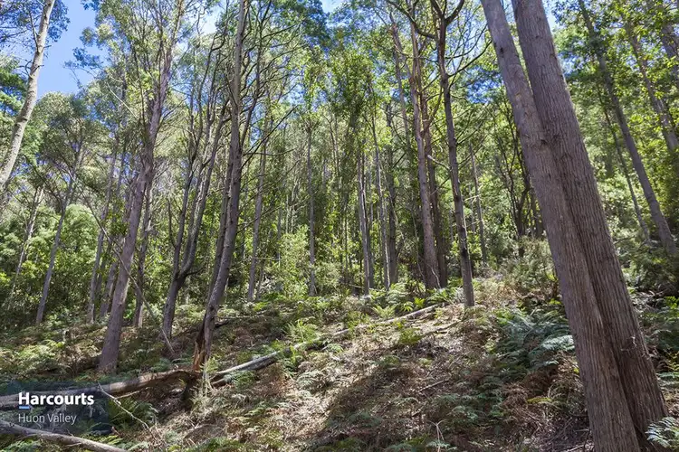 Sixth view of Homely land listing, RA Fyfes Road, Mountain River TAS 7109