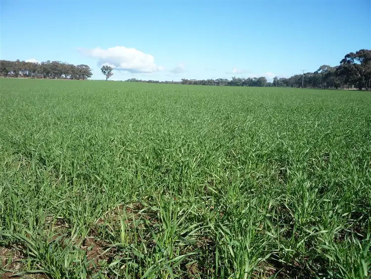 Second view of Homely rural property listing, - -, Carapooee VIC 3477